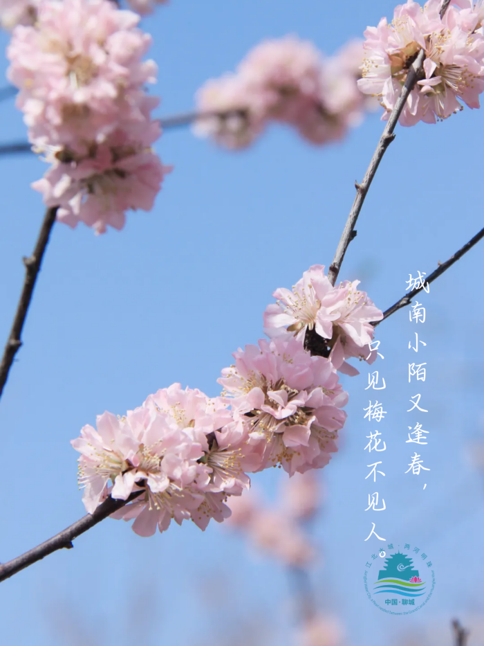 /resources/public/20250226/67be7fc39f4b65d43d89a152.png
