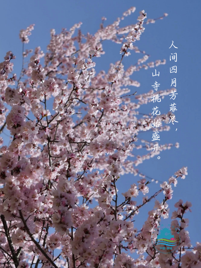 /resources/public/20250226/67be7fc4806258504b294690.png