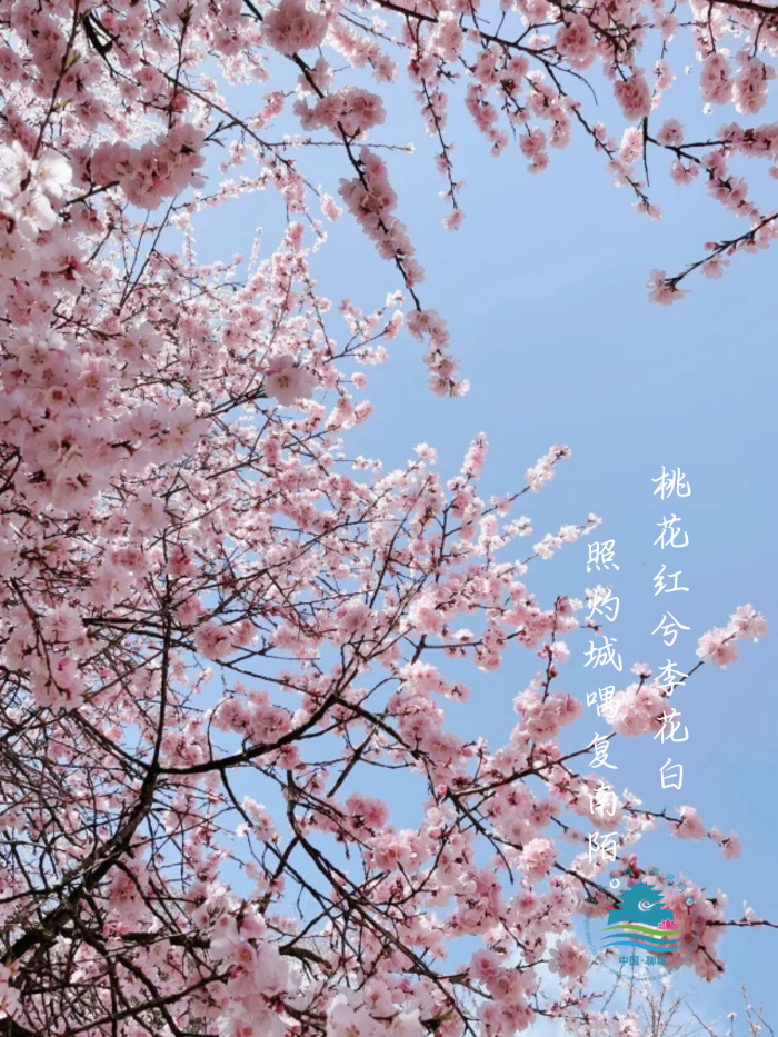 /resources/public/20250226/67be7fc49f4b65d43d89a159.png