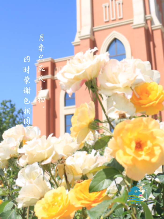 /resources/public/20250226/67be7fc6806258504b294697.png