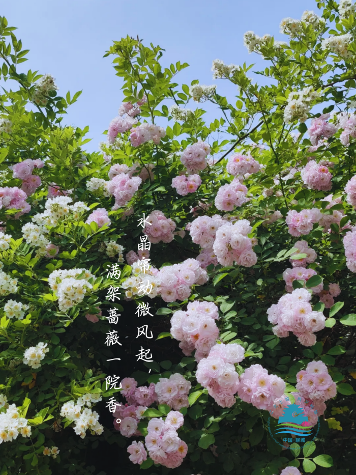 /resources/public/20250226/67be7fc69f4b65d43d89a162.png